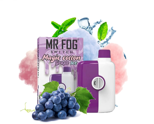 Mr Fog Switch 5500 Puffs