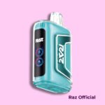 Polar-Ice-–-RAZ-Vape-TN9000