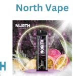 north disposable vape