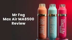 mr fog vape flavors​