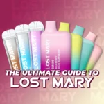 Lost Mary